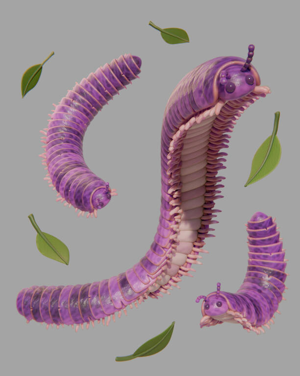 3d illustration of a cute purple millipede.