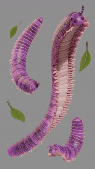 Millipede Sylized Millipede